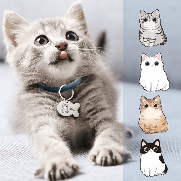 Cat Collars : IDPET, Personalised Pet Products with Personality